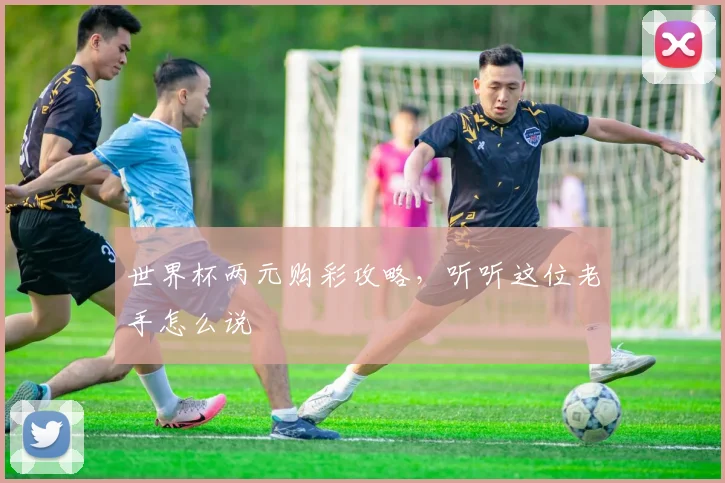 世界杯两元购彩攻略，听听这位老手怎么说