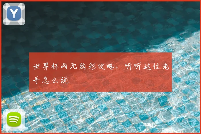 世界杯两元购彩攻略，听听这位老手怎么说