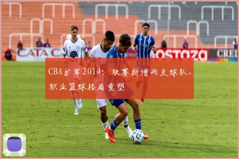 CBA扩军2014:联赛新增两支球队,职业篮球格局重塑