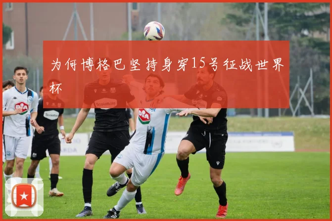 为何博格巴坚持身穿15号征战世界杯