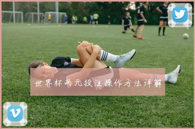 世界杯两元投注操作方法详解