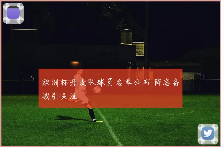 欧洲杯丹麦队球员名单公布 阵容备战引关注