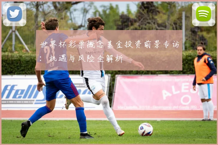 世界杯彩票概念基金投资前景专访：机遇与风险全解析