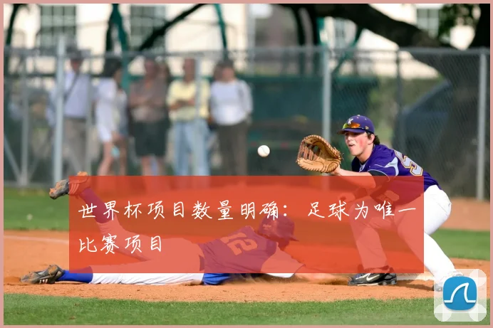世界杯项目数量明确:足球为唯一比赛项目