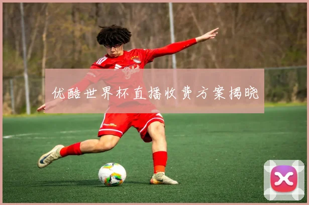 优酷世界杯直播收费方案揭晓