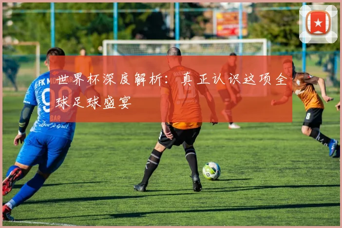 世界杯深度解析：真正认识这项全球足球盛宴