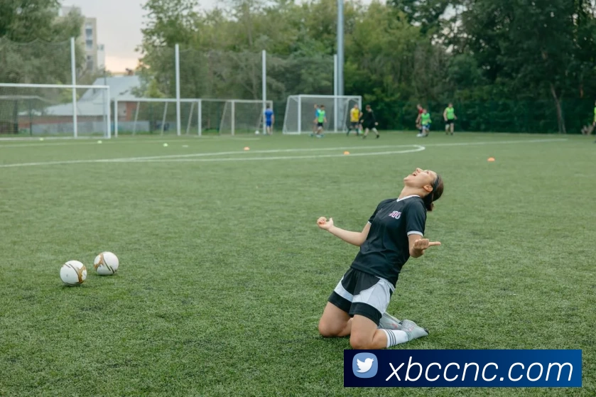 hth华体网页版登录入口APP 高清赛事图